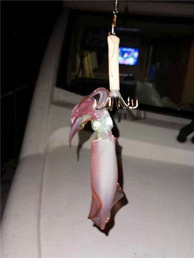 2021228
